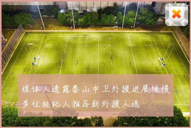 媒体人透露泰山中卫外援进展缓慢多位经纪人推荐新外援人选